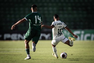 Paulista Futbol Şampiyonası Guarani, Palmeiras 'a karşı. 5 Mart 2023, Campinas, Sao Paulo, Brezilya: Estadio Brinco de Ouro da Princesa 'da yapılan 2023 Paulista Şampiyonası' nın 12. turu için Guarani ile Palmeiras arasındaki futbol maçı