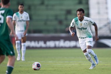 Paulista Futbol Şampiyonası Guarani, Palmeiras 'a karşı. 5 Mart 2023, Campinas, Sao Paulo, Brezilya: Estadio Brinco de Ouro da Princesa 'da yapılan 2023 Paulista Şampiyonası' nın 12. turu için Guarani ile Palmeiras arasındaki futbol maçı