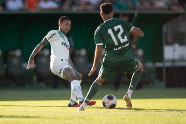 Paulista Futbol Şampiyonası Guarani, Palmeiras 'a karşı. 5 Mart 2023, Campinas, Sao Paulo, Brezilya: Estadio Brinco de Ouro da Princesa 'da yapılan 2023 Paulista Şampiyonası' nın 12. turu için Guarani ile Palmeiras arasındaki futbol maçı