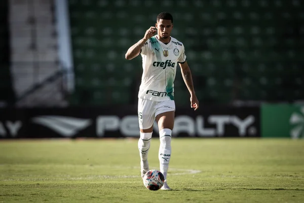 Paulista Soccer Championship Guarani Palmeiras Březen 2023 Campinas Sao Paulo — Stock fotografie