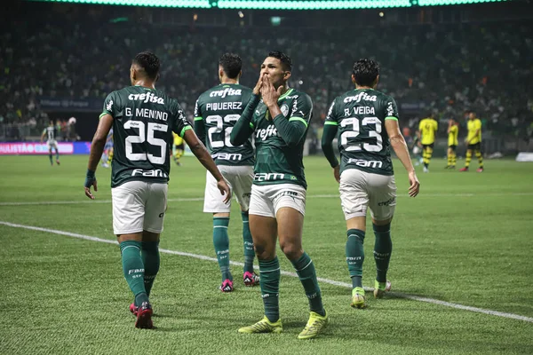 선수권 Palmeiras Sao Bernardo 2017 브라질 파울로 Rony Palmeiras Palmeiras — 스톡 사진