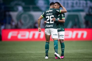 Paulista Futbol Şampiyonası Palmeiras Ituano 'ya karşı. 19 Mart 2023, Sao Paulo, Brezilya: Palmeiras ile Ituano arasındaki futbol maçı, 19 Pazar günü Sao Paulo 'daki Allianz Parque' da düzenlenen 2023 Paulista Şampiyonası yarı finali için geçerlidir.). 