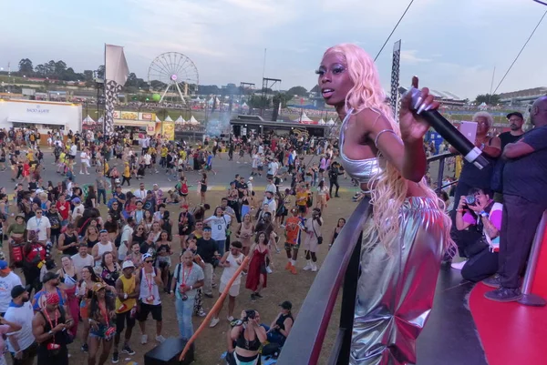 Sophia Tritt Bei Der Lollapalooza 2023 Musical Show Brasilien Auf — Stockfoto