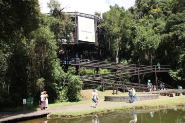 Curitiba 'da güneşli bir günde kalabalık parklar. 01 Nisan 2023, Curitiba, Parana, Brezilya: Bu sıcak ve güneşli günde, Parana 'nın başkentinin parklarında ve manzaralarında, turistler de dahil olmak üzere yoğun insan dolaşımı.