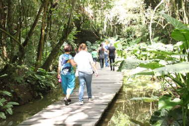 Curitiba 'da güneşli bir günde kalabalık parklar. 01 Nisan 2023, Curitiba, Parana, Brezilya: Bu sıcak ve güneşli günde, Parana 'nın başkentinin parklarında ve manzaralarında, turistler de dahil olmak üzere yoğun insan dolaşımı.