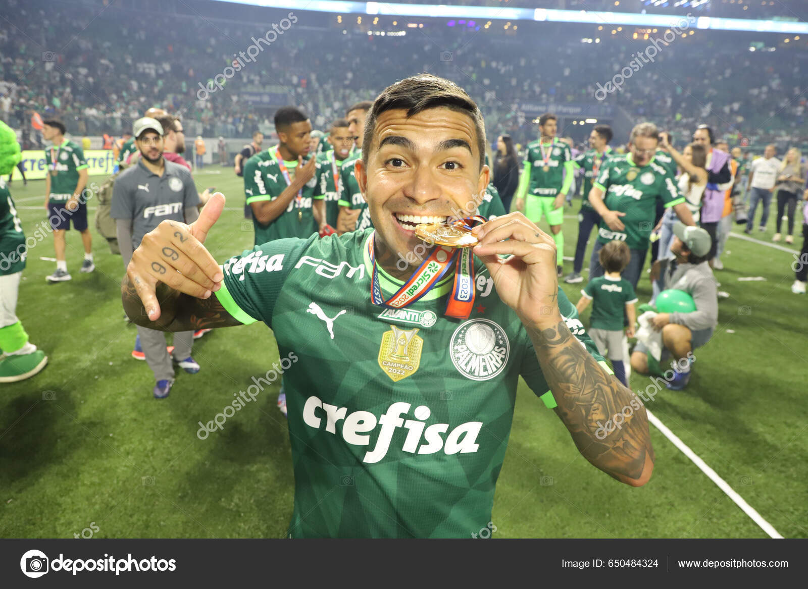 Paulista Soccer Championship Final Palmeiras Agua Santa Palmeiras  Celebrates Title – Stock Editorial Photo © thenews2.com #650484324