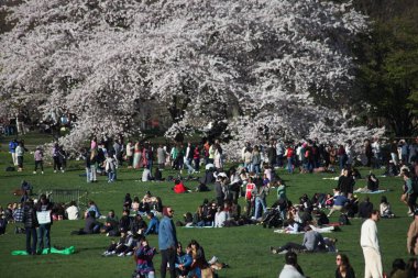 Paskalya Bayramı Central Park 'ta kutlandı. 09, 2023, New York, ABD: New York ve Turistler Paskalya bayramını Central Park' ta kutlarken görülüyor. Park piknik yapan, spor yapan insanlarla dolu.