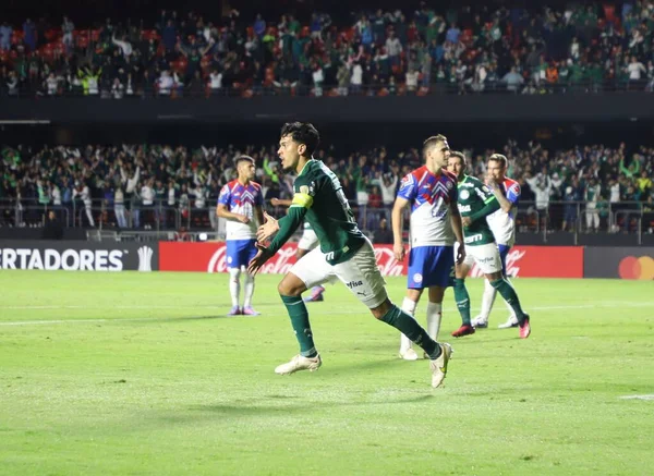 Libertadores Kupa Palmeiras Kontra Cerro Porteo 2023 Április Sao Paulo — Stock Fotó