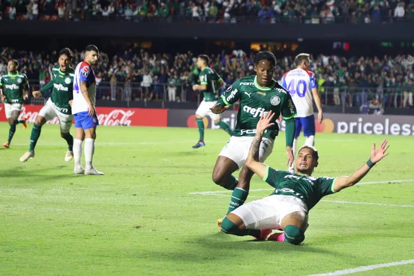 Libertadores Kupa Palmeiras Kontra Cerro Porteo 2023 Április Sao Paulo — Stock Fotó