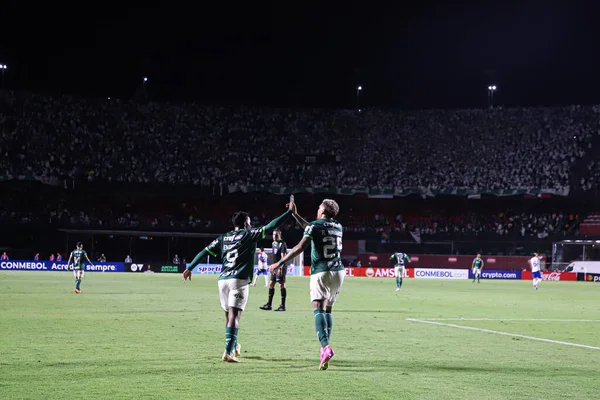 Libertadores Cup Palmeiras Gegen Cerro Porteo April 2023 Sao Paulo — Stockfoto