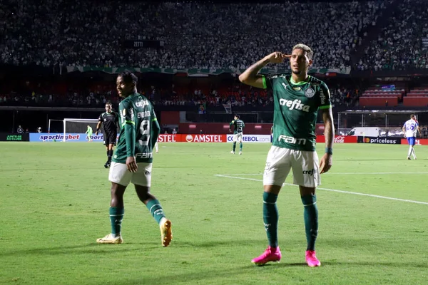Puchar Libertadores Palmeiras Cerro Porteo Kwietnia 2023 Sao Paulo Brazylia — Zdjęcie stockowe