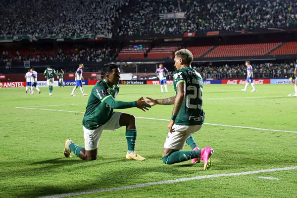 Libertadores Κύπελλο Palmeiras Εναντίον Cerro Porteo Απριλίου 2023 Σάο Πάολο — Φωτογραφία Αρχείου