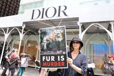 Dior Mağazasında Kürk satışına karşı protesto. 13 Mayıs 2023, New York, ABD: Bir grup çevreci, 5. Cadde ile New York 'ta bulunan 49. caddedeki Dior mağazası önünde kürk satışını protesto ediyor. 