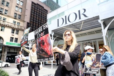 Dior Mağazasında Kürk satışına karşı protesto. 13 Mayıs 2023, New York, ABD: Bir grup çevreci, 5. Cadde ile New York 'ta bulunan 49. caddedeki Dior mağazası önünde kürk satışını protesto ediyor. 