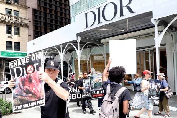stock image Protest against sale of Furs at Dior Store. May 13, 2023, New York, USA: A group of environmentalists protest against the sale of furs in front of the Dior store on 49th street with 5th Avenue, on New York. 