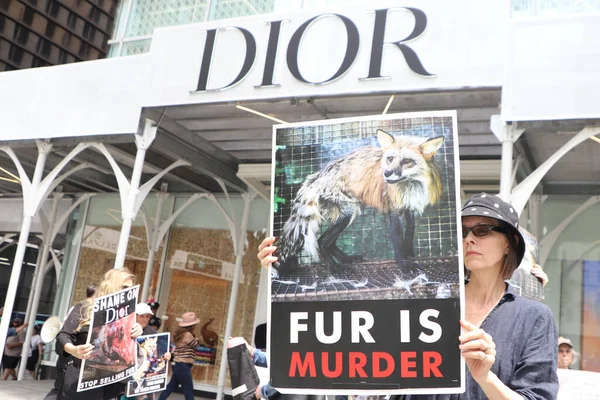 Protesta Contro Vendita Pellicce Dior Store Maggio 2023 New York — Foto Stock