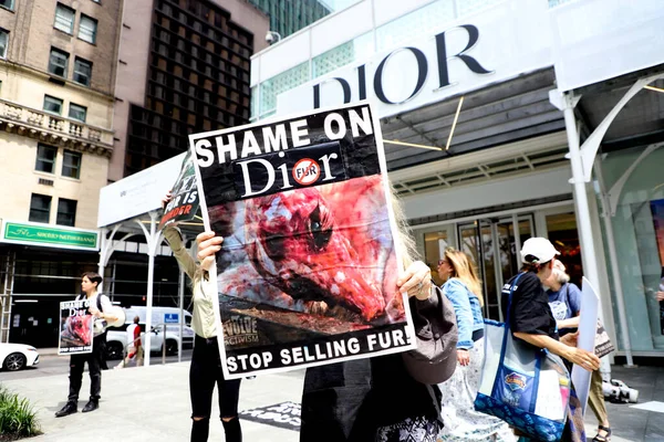 反对在迪奥商店出售福尔斯的抗议 2023年5月13日 美国纽约 一群环保主义者抗议在纽约第五大道49号迪奥商店前出售毛皮 — 图库照片