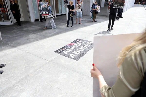 ディオールストアでの毛皮の販売に対する抗議 2023年5月13日 ニューヨーク ニューヨークの5番街の49丁目にあるディオールの店舗前で毛皮の販売に抗議する環境保護活動家のグループ — ストック写真