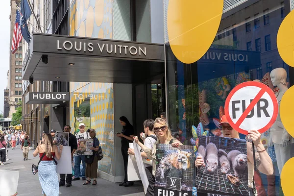 Louis Vuitton Fifth Avenue Stock Photos - Free & Royalty-Free