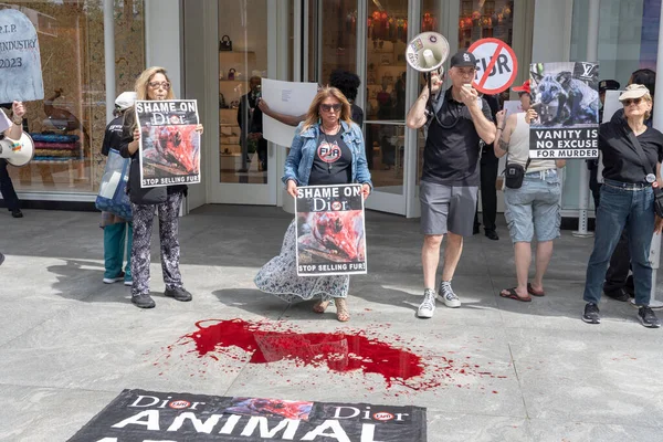 Pelz Protest Mai 2023 New York New York Usa Tierschützer — Stockfoto