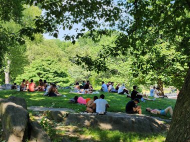 New York 'taki Central Park' ta hareketlilik ve çok fazla sıcaklık var. Haziran 02, 2023. Bu cuma öğleden sonra New York 'taki Central Park' ta çok hareketlilik vardı (02). Sıcaklık 33 dereceye ulaşırken