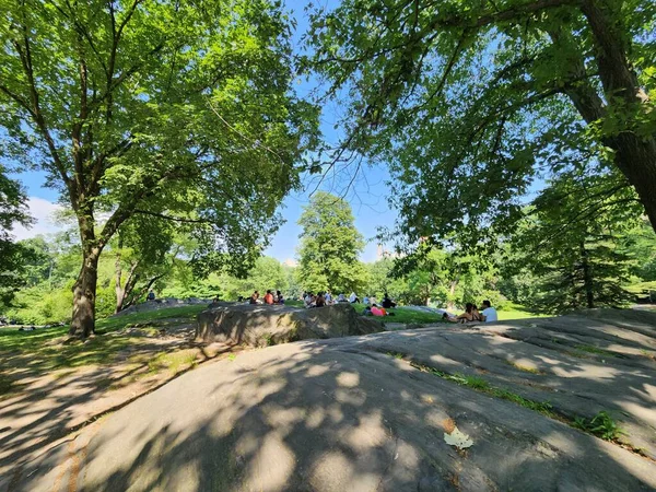 Pohyb Hodně Tepla Central Parku New Yorku Června2023 Pátek Odpoledne — Stock fotografie