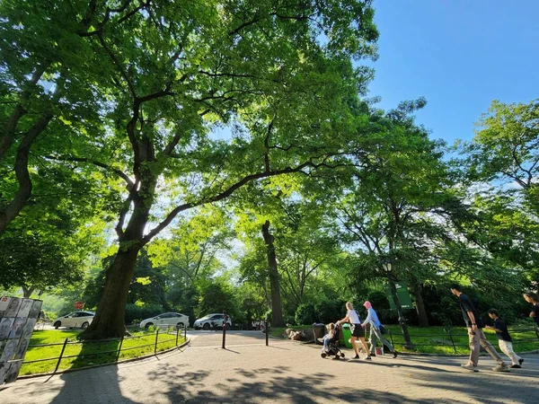 Movimento Muito Calor Central Park Nova Iorque Junho 2023 Houve — Fotografia de Stock
