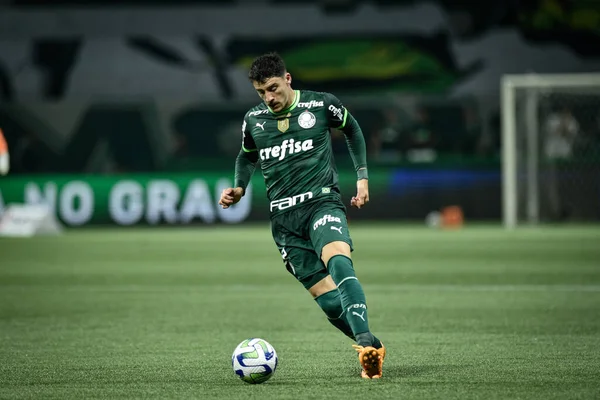 브라질 선수권 Palmeiras Coritiba 브라질 상파울루 2023 로니는 라스와 경기에서 — 스톡 사진