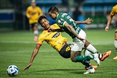 Sao Paulo (SP), 06 / 07 / 2023 - LIBERTADORES / PALMEIRAS X BARCELONA (EQU) - Palmeiras ve Barcelona arasındaki maç, Sao Paulo 'nun batı bölgesindeki Allianz Parque' da düzenlenen Copa Conmebol Libertadores 2023 'ün beşinci turu için geçerlidir.