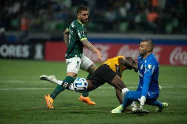 Sao Paulo (SP), 06 / 07 / 2023 - LIBERTADORES / PALMEIRAS X BARCELONA (EQU) - Palmeiras ve Barcelona arasındaki maç, Sao Paulo 'nun batı bölgesindeki Allianz Parque' da düzenlenen Copa Conmebol Libertadores 2023 'ün beşinci turu için geçerlidir.