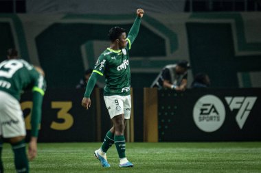 Sao Paulo (SP), 06 / 07 / 2023 - LIBERTADORES / PALMEIRAS X BARCELONA (EQU) - Endrick, Copa Conmebol Libertadores 2023 'ün grup aşamasının 5. turu için geçerli olan Palmeiras ve Barcelona arasındaki maçta golünü kutluyor
