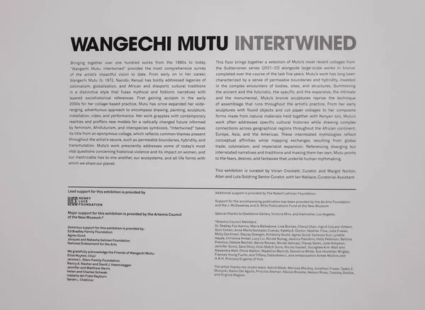 Exposition Entrelacée Wangechi Mutu Nouveau Musée Juin 2023 New York — Photo