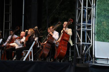 Parktaki New York Filarmoni Konserleri. 14 Haziran 2023, New York, ABD: New York Filarmoni Orkestrası da dahil olmak üzere birçok kişinin katılımıyla New York 'taki Central Park Great Lawn' da düzenlenen Parklardaki konserler.