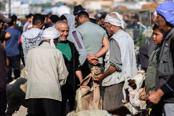 Filistinlilerin Kurban Bayramı Için Hazırladıkları Hazırlıklar Hakkında Haziran 2023 Gazze — Stok fotoğraf