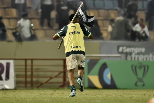 Barueri Brazilië 2023 Copa Brasil Sub Palmeiras Athletico Match Tussen — Stockfoto