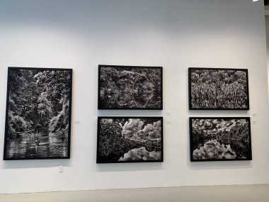 Sebastiao Salgado Amazonia Fotoğraf Sergisi New York 'ta. 22 Haziran, New York, ABD: Brezilyalı ünlü fotoğrafçı Sebastiao Salgados 15 Haziran - 15 Temmuz tarihleri arasında Manhattan-New York 'taki Sundaram Tagore Galerisinde sergileniyor 