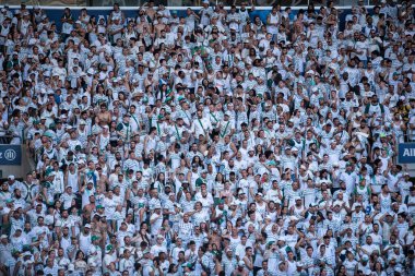 Sao Paulo (SP), Brezilya 06 / 25 / 2023 - Palmeiras ve Botafogo arasındaki maçta Palmeiras taraftarları, Sao Paulo 'nun batı bölgesindeki Allianz Parque' da düzenlenen 2023 Brezilya Şampiyonası 'nın 12. turu için geçerlidirler.