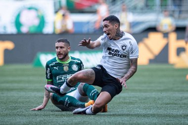 Sao Paulo (SP), Brezilya 06 / 25 / 2023 - Palmeiras ve Botafogo arasındaki maç, bu pazar öğleden sonra Sao Paulo 'nun batı bölgesindeki Allianz Parque' da düzenlenen 2023 Brezilya Şampiyonası 'nın 12. turu için geçerli.