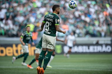 Sao Paulo (SP), Brezilya 06 / 25 / 2023 - Palmeiras ve Botafogo arasındaki maç, bu pazar öğleden sonra Sao Paulo 'nun batı bölgesindeki Allianz Parque' da düzenlenen 2023 Brezilya Şampiyonası 'nın 12. turu için geçerli.