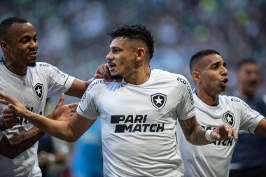 Sao Paulo (SP), Brezilya 06 / 25 / 2023 - Tiquinho Soares, Allianz Parque 'da düzenlenen 2023 Brezilya Şampiyonası' nın 12. turunda Palmeiras ve Botafogo arasında oynanan karşılaşmada golünü kutluyor.