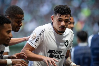Sao Paulo (SP), Brezilya 06 / 25 / 2023 - Tiquinho Soares, Allianz Parque 'da düzenlenen 2023 Brezilya Şampiyonası' nın 12. turunda Palmeiras ve Botafogo arasında oynanan karşılaşmada golünü kutluyor.