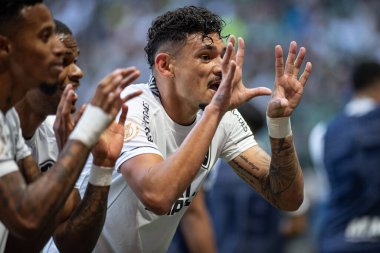 Sao Paulo (SP), Brezilya 06 / 25 / 2023 - Tiquinho Soares, Allianz Parque 'da düzenlenen 2023 Brezilya Şampiyonası' nın 12. turunda Palmeiras ve Botafogo arasında oynanan karşılaşmada golünü kutluyor.