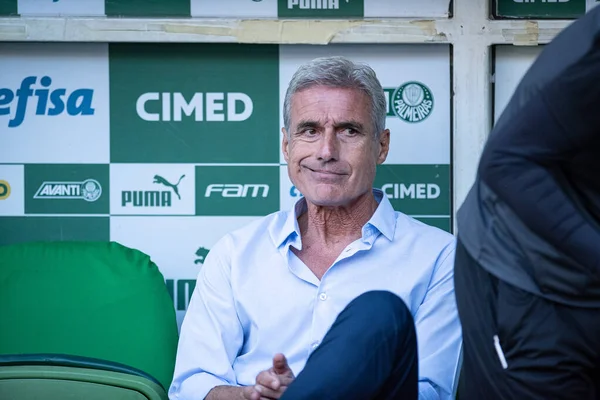 Sao Paulo Brazílie 2023 Trenér Luis Castro Utkání Mezi Palmeiras — Stock fotografie