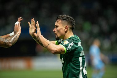 Sao Paulo (SP), Brezilya 06 / 29 / 2023 - Artur, Allianz Parque 2023 'te düzenlenen Conmebol Libertadores 20. turunun 6. turu için geçerli olan Palmeiras ve Bolivar (BOL) Libertadores arasındaki maçta golünü kutluyor 