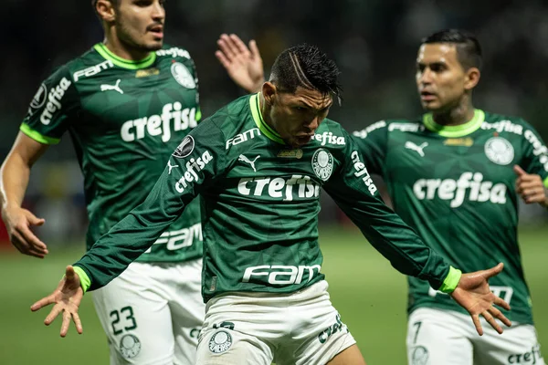 Sao Paulo Brazília 2023 Rony Palmeiras Bolivar Bol Libertadores Közötti — Stock Fotó