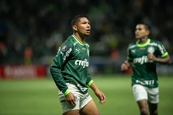 巴西圣保罗 2023 罗尼在Palmeiras和Bolivar Bol Libertadores之间的一场比赛中庆祝了他的进球 这场比赛在Allianz Parque举行 有效期为2023年Conmebol Libertadores集团阶段的第6轮比赛 — 图库照片