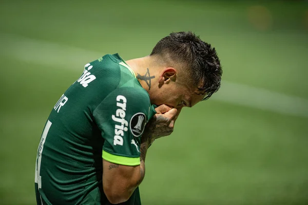 Sao Paulo Brazil 2023 Artur Celebrates His Goal Match Palmeiras — Stock Photo, Image