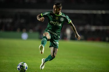 Sao Paulo (SP), 07 / 05 / 2023 - COPA DO BRASIL / SAO PAULO VS PALMEIRAS - Sao Paulo ve Palmeiras arasında oynanan karşılaşmada, Cicero Pompeu Stadyumu, Morumbi 'deki Cicero Pompeu Stadyumu' nda düzenlenen 2023 Copa do Brasil 'in ilk ayağı için geçerli.