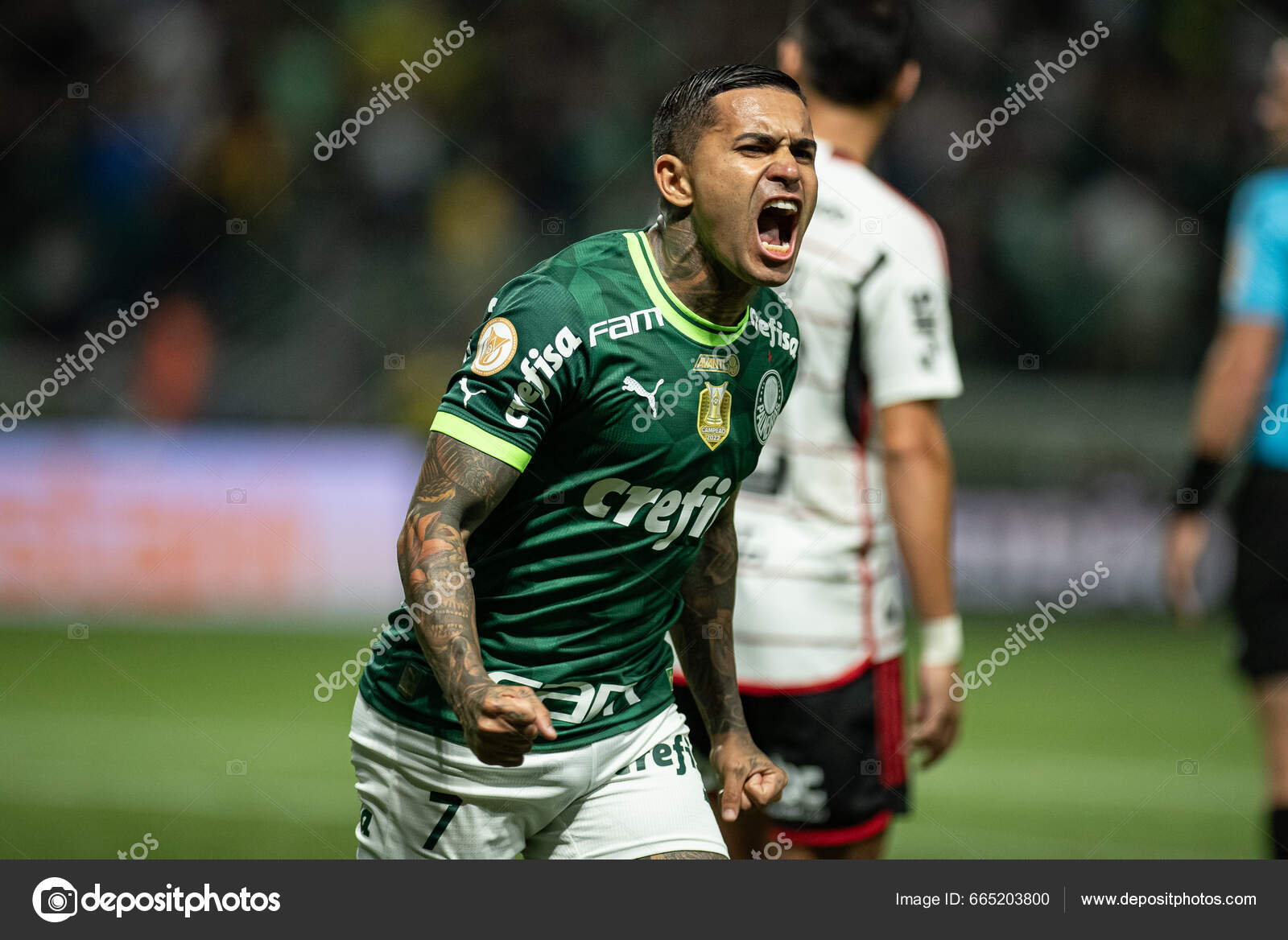 Palmeiras x Flamengo: informações, estatísticas e curiosidades – Palmeiras