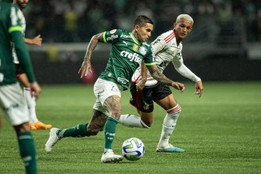 Sao Paulo (SP), 07 / 08 / 2023 - BRAZILIAN / PALMEIRAS X FLAMENGO - Palmeiras ve Flamengo arasındaki maç, Sao Paulo 'nun batı bölgesindeki Allianz Parque' da düzenlenen Brezilya Futbol Şampiyonası 'nın 14. turu için geçerli